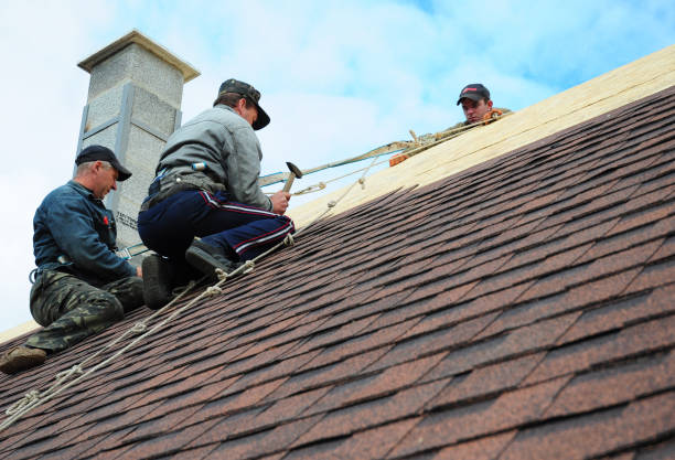 Best Roof Gutter Cleaning  in Bonanza, GA